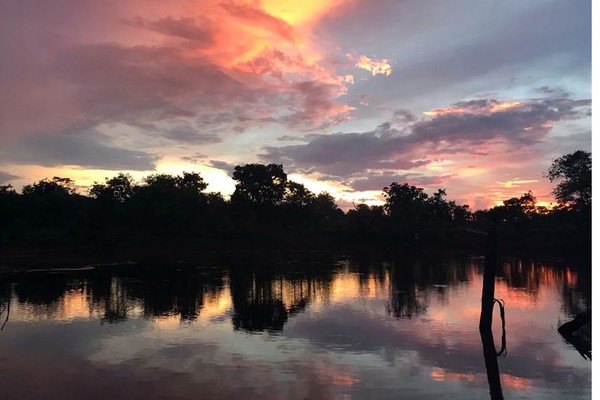 Dia Mundial da Água: Cerrado pode perder quase 34% da água até 2050