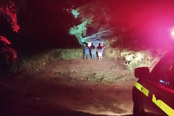 Corpo de Bombeiros desobstrui via após ventania derrubar várias árvores e interditar totalmente a estrada de Alagoas