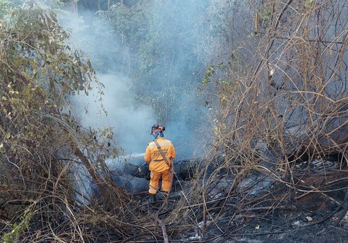 Incêndio atinge área de mata do Parque do Mocambo e mobiliza Bombeiros em Patos de Minas
