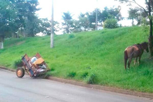 Casal de idosos que trafegava em carroça fica ferido ao ser atingido por carro na avenida J.K