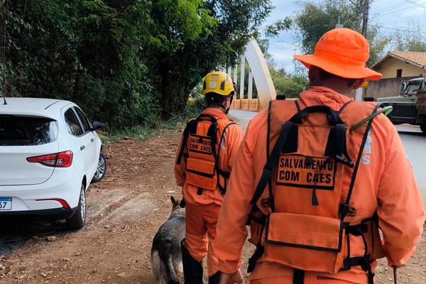 Ossadas humanas: Bombeiros utilizam 4 cães farejadores em novas buscas no Rio Paranaíba