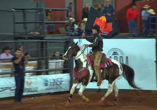 Mauro Rodrigues de Mato Grosso do Sul vence Rodeio em Cavalos na Fenamilho 2025; veja ao vivo