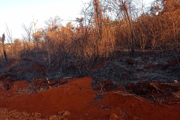 Ossada humana é encontrada em área queimada da Mata do Catingueiro, em Patos de Minas