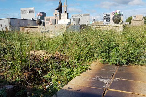 Cemitério Municipal tomado pelo mato começa a semana recebendo serviço de limpeza