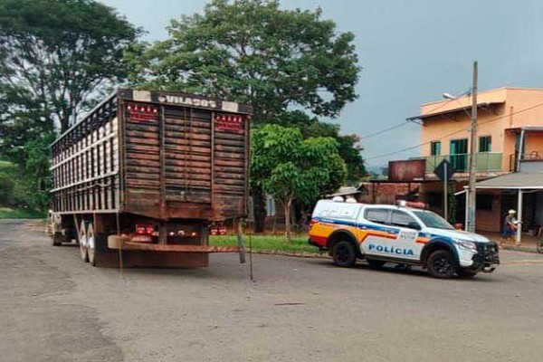 Vacas leiteiras compradas com cheques sem fundos são apreendidas pela PM Rodoviária