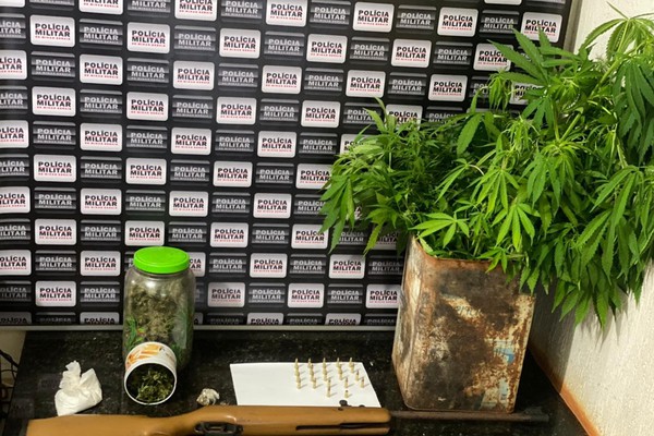 PM prende homem com plantação de maconha, espingarda e skank em Monte Carmelo