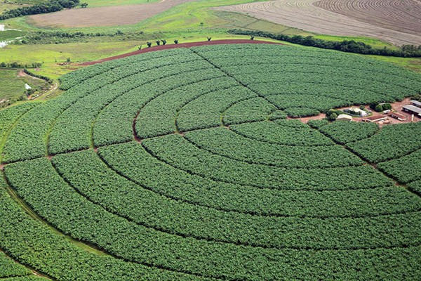 Índice de Confiança do Agronegócio tem melhor resultado trimestral