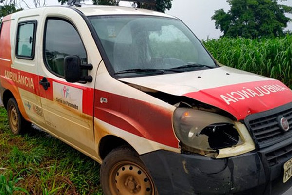 Motorista freia para não atropelar cachorros na BR 354 e é atingida por ambulância