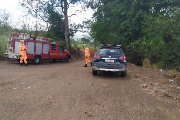 Ossada humana é encontrada espalhada em grota às margens da BR 365, em Patos de Minas