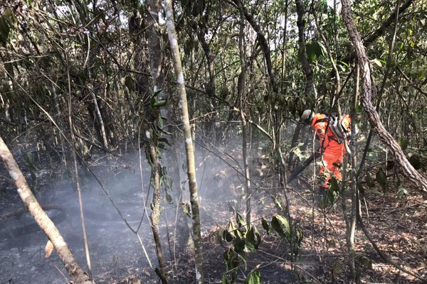 Queimadas aumentam em 40% no mês de agosto e bombeiros temem piora se não chover em Patos de Minas