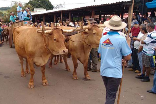 Monjolinho de Minas realiza o 13º Encontro de Carros de Bois e mantém viva a tradição