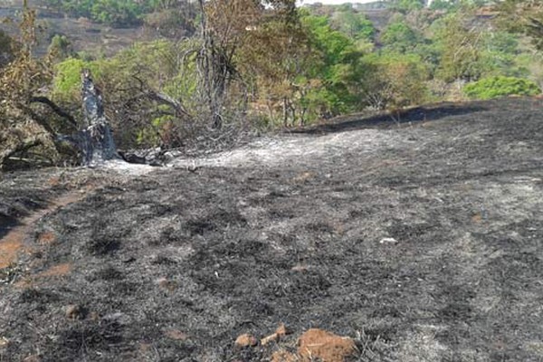 Queimadas se alastram prejudicando a saúde das pessoas e o meio ambiente