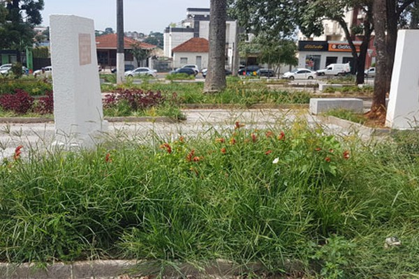 Reclamação de praça tomada pelo mato no centro da cidade abre discussão nas redes sociais