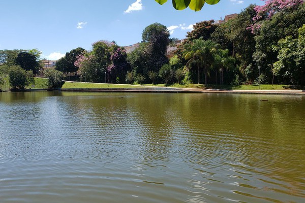 Relatório mostra avanços na área ambiental em Patos de Minas e desafios para o futuro