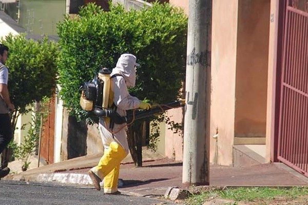 Prefeitura começa, nesta terça, aplicação de fumacê em ruas do bairro Nova Floresta