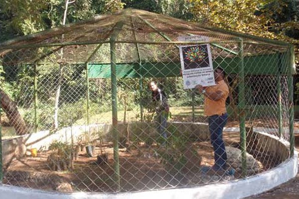 Um dia após anúncio, Diretoria suspende doação de plantas devido ao período eleitoral