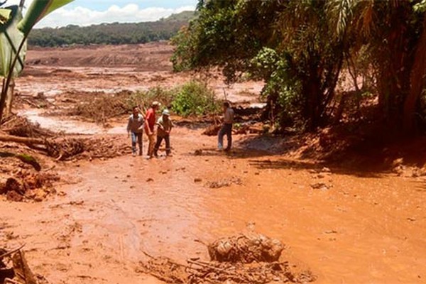 Governo de Minas vai distribuir 300 chips de celular para famílias em Brumadinho