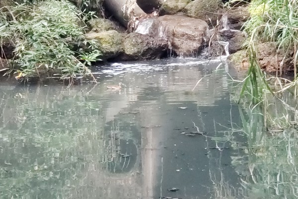 Represa de esgoto continua sendo mantida bem próxima ao Fórum de Patos de Minas