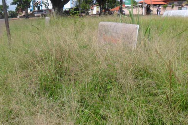 Mato toma conta de Praça em Areado e moradores cobram providências da Prefeitura