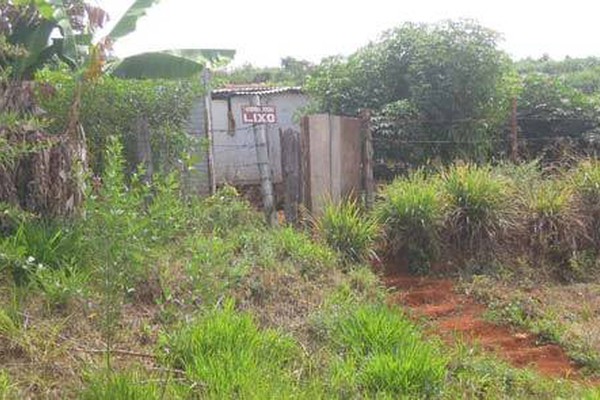 Terreno da Prefeitura tomado pelo mato começa a ser ocupado por moradores