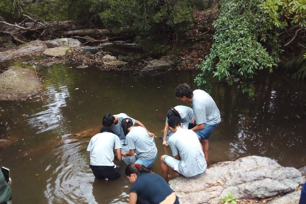 Córrego em Patos de Minas recebe 10 mil peixes em ação da Semana de Proteção Animal