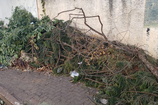 Calçada de clube é tomada por galhos de plantas e dificulta a passagem dos pedestres