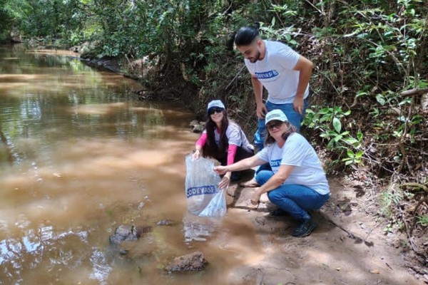 Mais 25 mil peixes de espécies nativas são soltos no Córrego do Arroz, em Patos de Minas