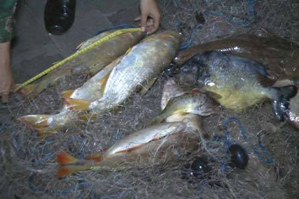 Caroneiros fogem deixando peixes irregulares e motorista acaba na delegacia