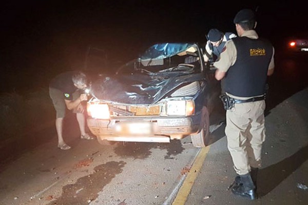 Veículo fica destruído ao atropelar vaca solta na estrada de acesso às Chácaras Pôr do Sol