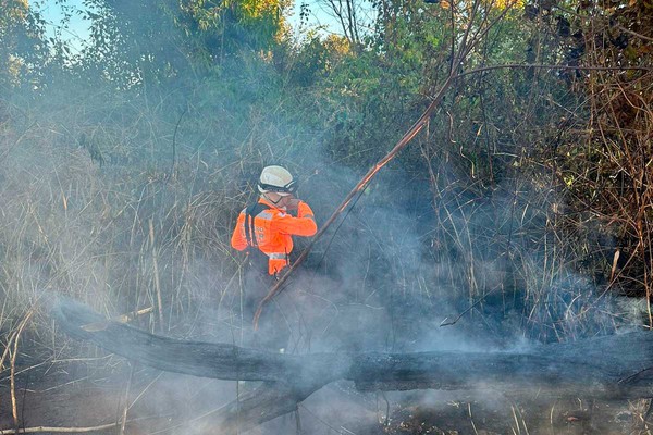 Atuação rápida dos Bombeiros evita nova destruição por incêndio na Mata do Catingueiro