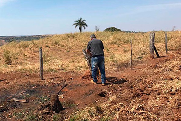 Caseiro acaba preso após policiais flagrarem bovinos às margens da BR354 em Rio Paranaíba