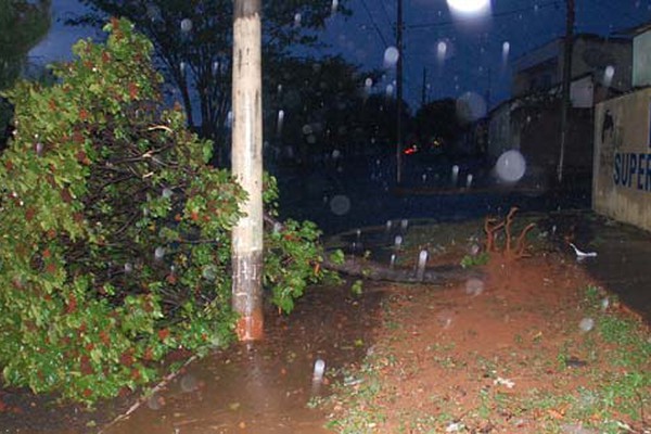 Temporal alaga ruas, deixa moradores sem luz e derruba árvores em Patos de Minas