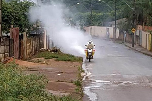 Casos de dengue chegam a quase 1 mil e agentes ganham mais poder para entrar em imóveis