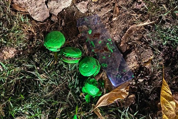 Advogada e marido são presos por furto de doces em padaria de Patos de Minas