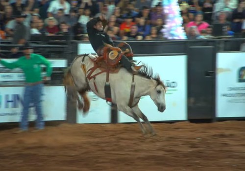 Atual campeão do Rodeio Fenamilho controla animal e garante liderança; veja ao vivo