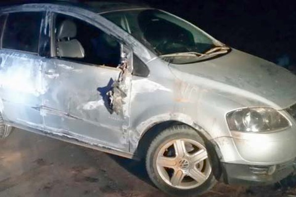 Motorista perde o controle da direção e fica gravemente ferido ao atropelar cavalo na BR 365