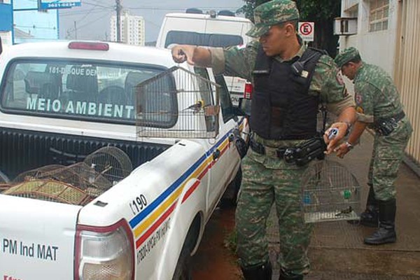 Homem de 55 anos é preso pela PM de Meio Ambiente com 10 pássaros da fauna silvestre