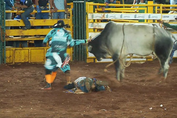 Tensão no rodeio: peão é atingido por touro e fica desacordado na arena; veja ao vivo