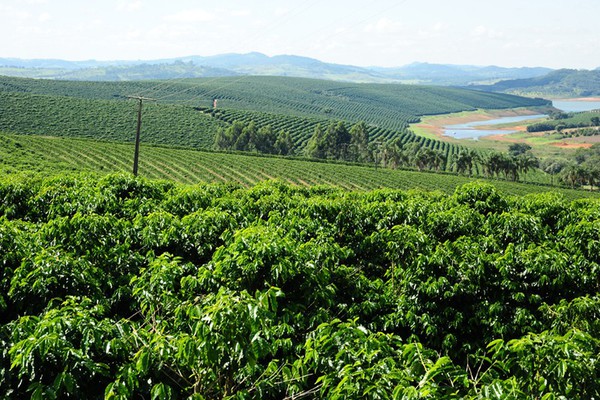 Demissões na agropecuária fazem Patos de Minas ter saldo de empregos negativo em maio