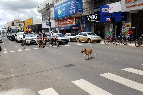 Confira como será o funcionamento das atividades em Patos de Minas durante o Carnaval