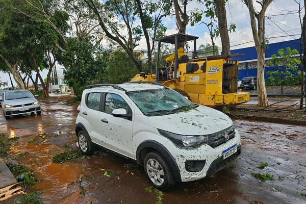 Ventania derruba árvore sobre carro na Avenida Continental e interdita via