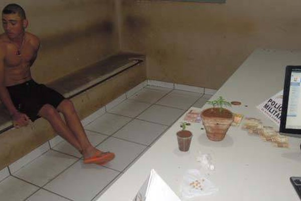 Polícia Militar encontra pés de maconha e pedras de crack no Sebastião Amorim