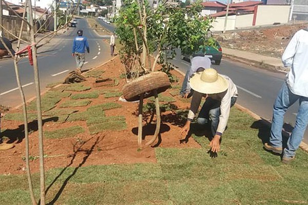 Projeto de paisagismo da avenida Ivan Borges será concluído 4 anos após o início das obras