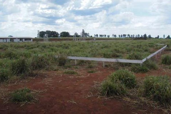 Justiça determina que UFU reconheça contrato e retome obras do Campus em Patos de Minas