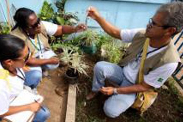 Agentes de Endemias iniciam estudo para detectar índice de infestação do mosquito Aedes Aegypti