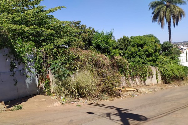 Vizinhos denunciam residências abandonadas no bairro Nossa Senhora das Graças e pedem providências