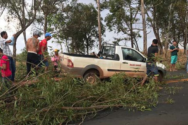 Eucalipto cai sobre carro na MGC 354 e motorista denuncia erros de funcionários do DEER