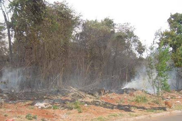 Incêndio em mata assusta moradores do bairro Jardim Panorâmico