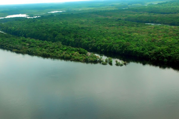 Apenas 7% dos rios da Mata Atlântica apresentam água de boa qualidade