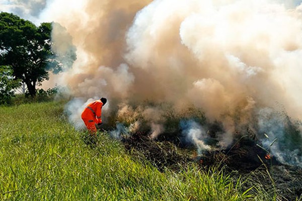 Queimadas se agravam na região e Bombeiros alertam para importância da prevenção